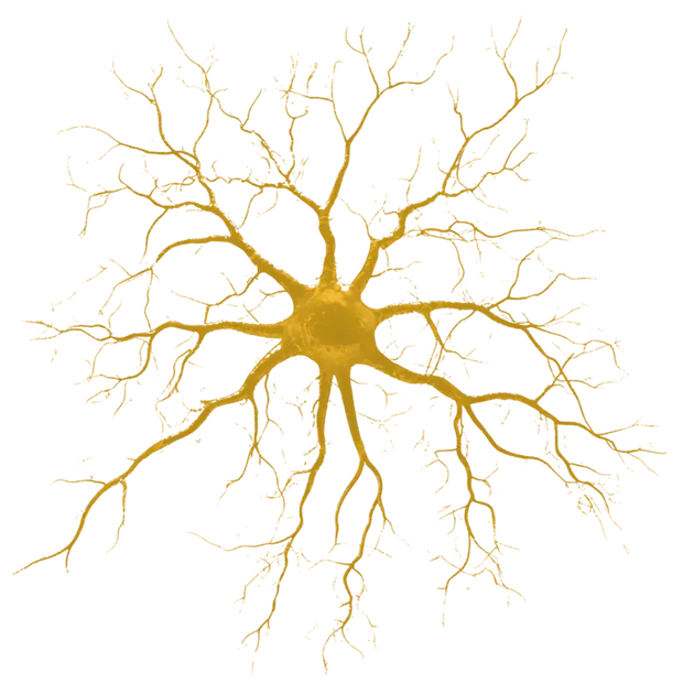 Neuron cell illustration representing brain health